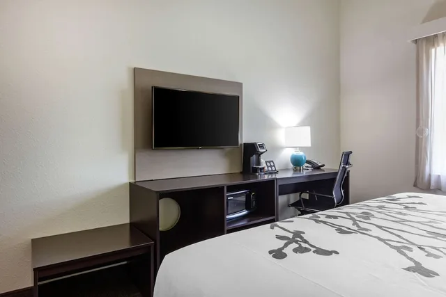 غرفة بسرير كينج لذوي الإعاقة، Sleep Inn & Suites Tampa South 3/5