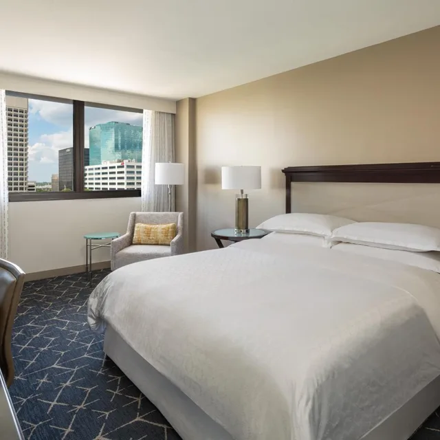 غرفة ديلوكس بسرير كينج بإطلالة على المدينة بحوض استحمام لذوي الإعاقة، Sheraton Norfolk Waterside 1/9