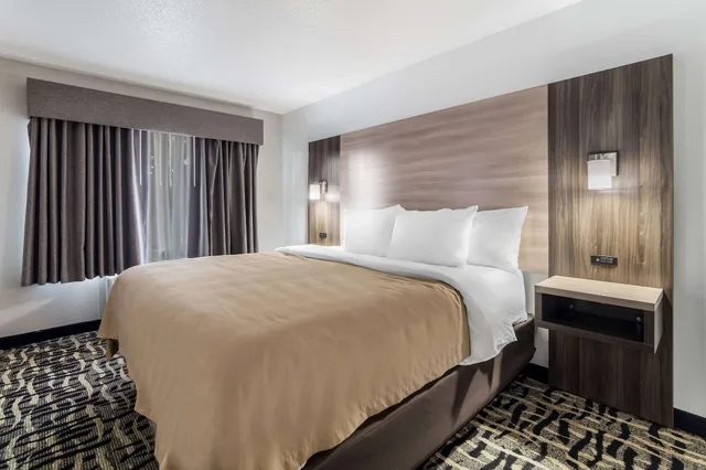 Suite, Single, 2 King Beds, King and Queen Bed, Queen Bed, Sofa، Quality Inn & Suites Augusta I-20 1/3