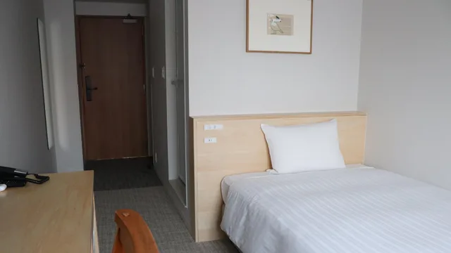 Deluxe, Single, Shin Osaka Station Hotel Honkan 2/2