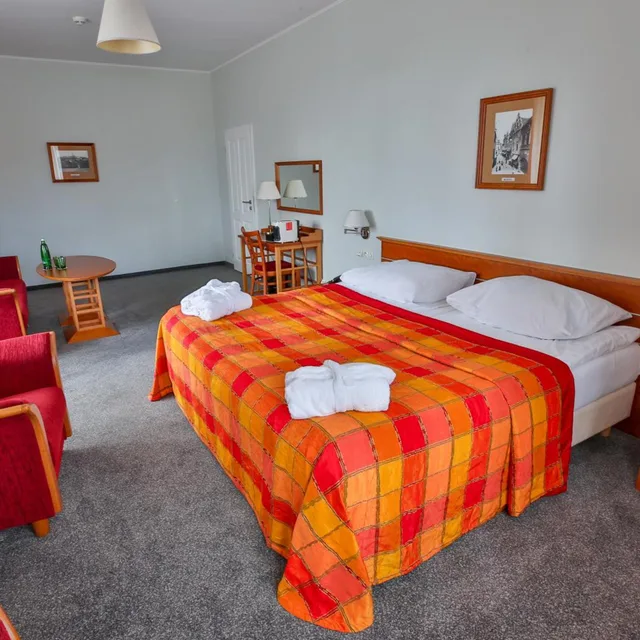 جناح جونيور بسرير فردي، Hotel Dvorak Tabor 1/10
