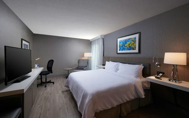 غرفة بريميوم بسرير كينج، Hilton Garden Inn St John S Newfoundland 1/1