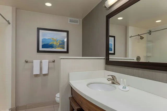 غرفة مفردة بسرير كينج مع أريكة، Courtyard by Marriott Asheville Airport 3/5