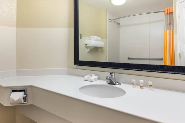 Room, King Bed, La Quinta Inn and Suites by Wyndham Greenville Haywood 5/6