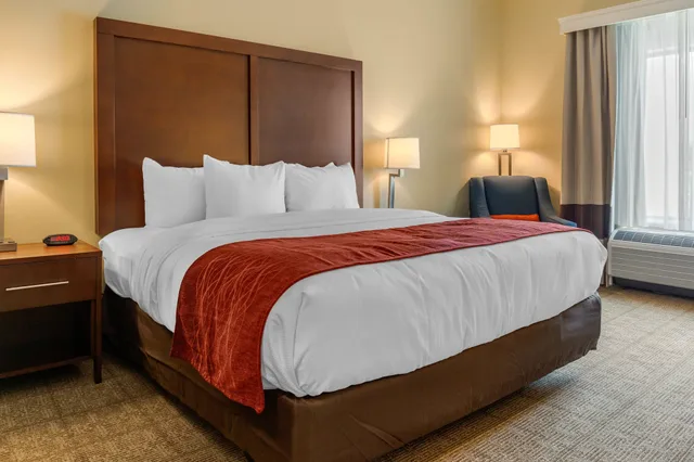 غرفة قياسية بسرير كينج، Comfort Inn & Suites Gap Amish Country 5/9