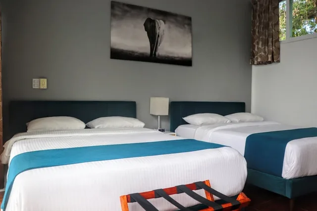 Junior Suite, 1 Single and 2 Double Beds, Terrace, Kitchenette، Casa Gem B&B 2/7