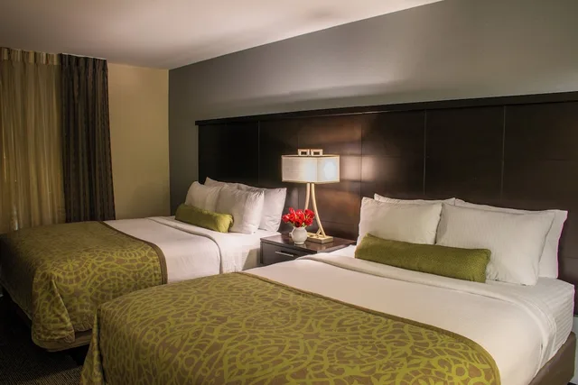 1 Bedroom, Suite, 2 Queen Beds, Kitchen, Staybridge Suites Schererville 1/2