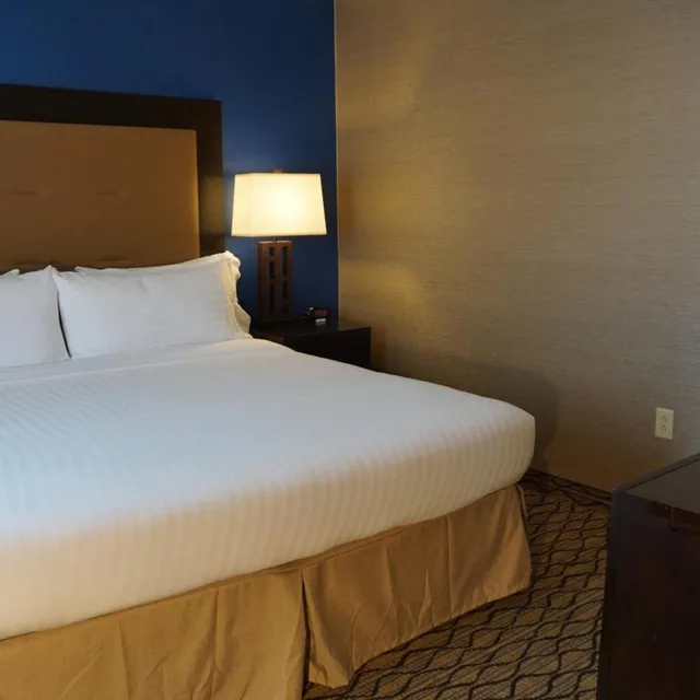جناح استوديو بسرير كينج لذوي الإعاقة، Holiday Inn Express Hotel Suites Gibson 2/6