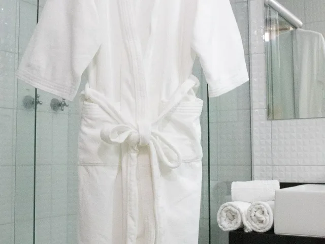 غرفة تنفيذية، Polar Rio Hotel 6/6