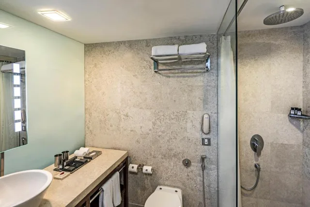 Luxury, Queen Bed, The Park New Delhi 1/1
