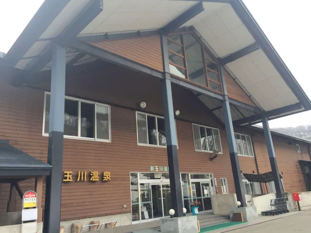 غرفة يابانية قياسية، Shintamagawa Onsen 1/1