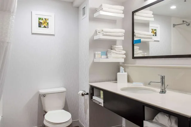 غرفة بسرير كينج مع أريكة، Hampton Inn Douglas 3/3