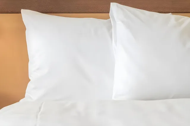 غرفة غراند ديلوكس، Hotel Du Parc Hanoi 1/2
