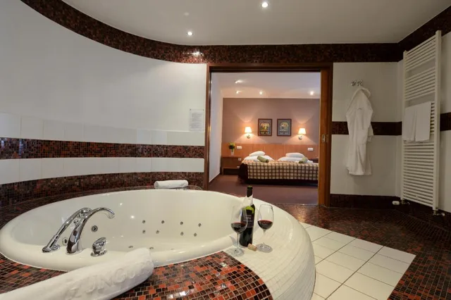 شقة ديلوكس بسرير مزدوج مع أريكة، Hunguest Hotel Pelion 3/3