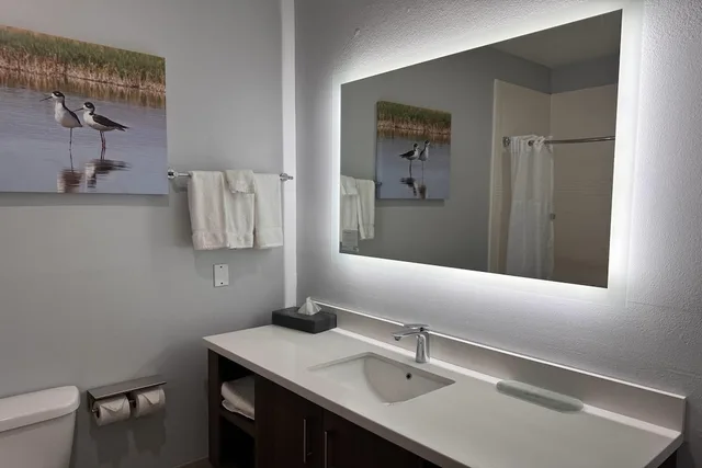 1 Bedroom, Suite, 2 King Beds, La Quinta Inn and Suites by Wyndham Alamo - McAllen East 9/10
