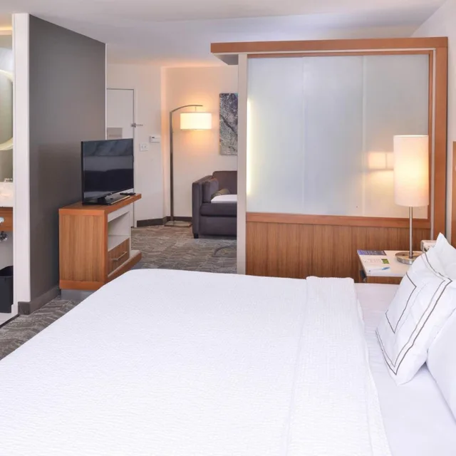Studio, King Bed, Sofa, Springhill Suites By Marriott 1/4