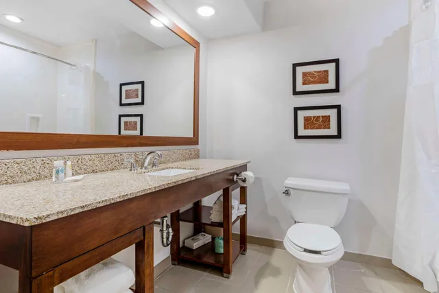 جناح، Comfort Suites Houston NW - Vintage Park 4/4