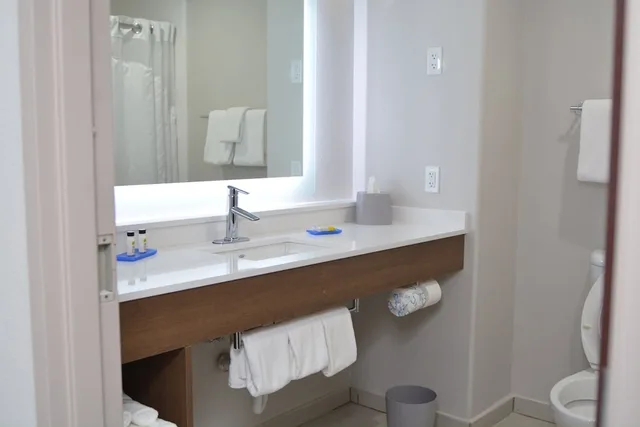 جناح بسرير فردي لذوي الإعاقة، Holiday Inn Express Hotel & Suites Seguin 3/3