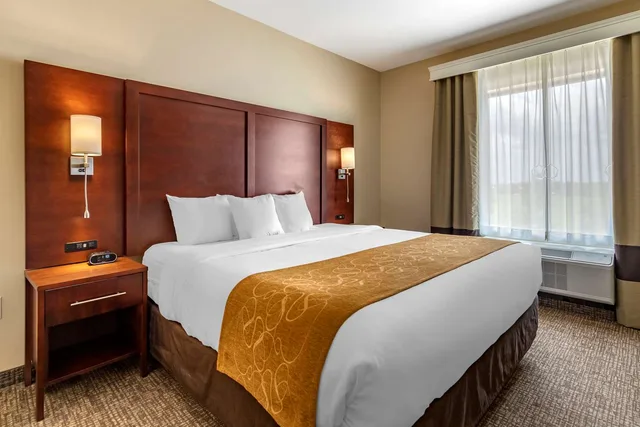 جناح بسرير كينج لذوي الإعاقة، Comfort Suites Kyle 1/2
