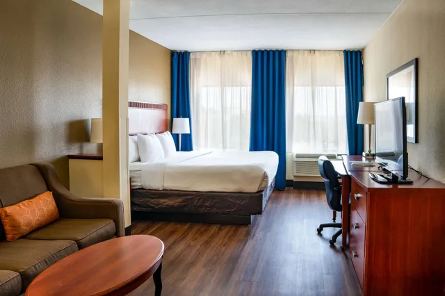 جناح بسرير كينج مع أريكة لذوي الإعاقة، Comfort Suites Outlet Center 6/10