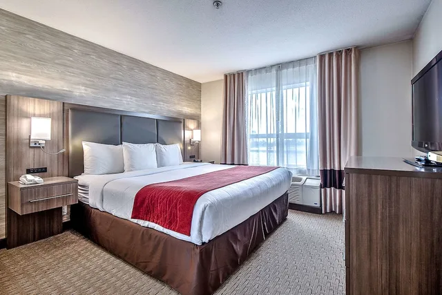غرفة قياسية بسرير كينج، Comfort Inn and Suites South Calgary 1/3