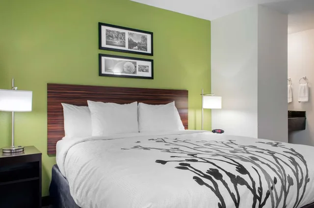 غرفة بسرير كينج، Sleep Inn Baton Rouge East I-12 5/6