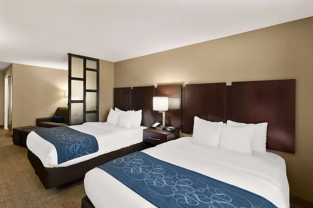 Suite, Comfort Suites Commerce 2/5