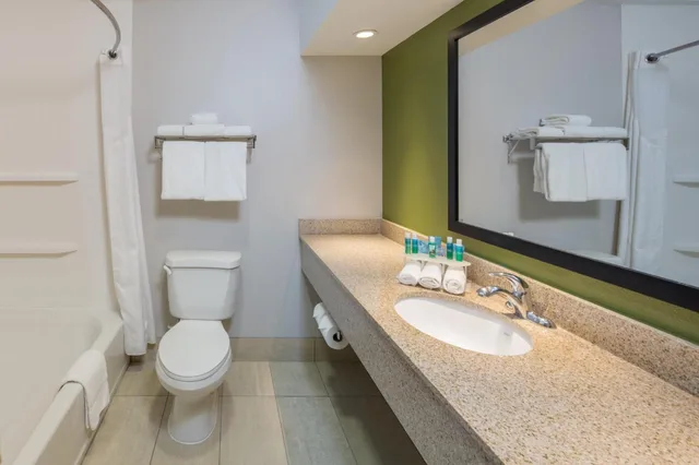 Xtra Space, Standard, King Bed، Holiday Inn Express Cedar Rapids Collins Rd 6/9