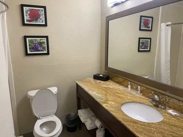 جناح بسرير كينج مع أريكة، Comfort Inn & Suites Temple - Medical Center 5/7