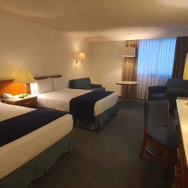 جناح جونيور ديلوكس، Bristol Hotel 5/8