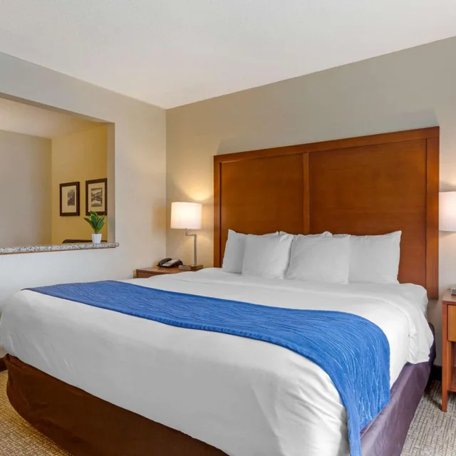 جناح جونيور، Comfort Inn South 1/7