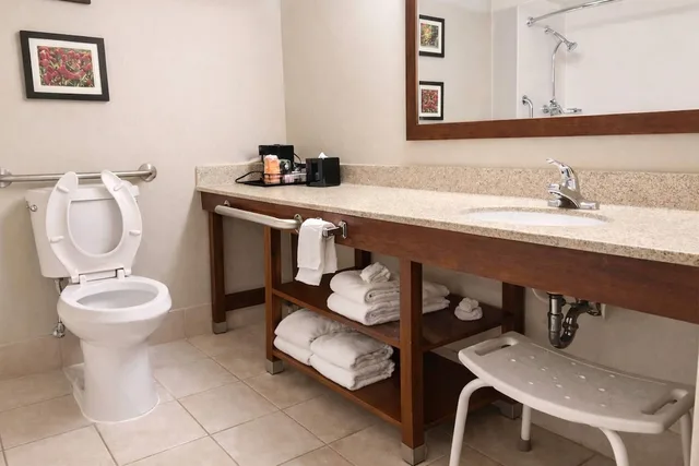 Room, King Bed, Accessible, Comfort Inn Farmington Hills - Detroit Northwest 5/6