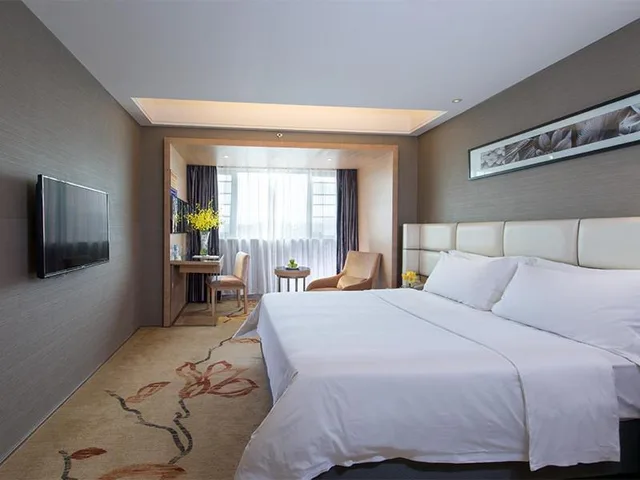 غرفة ديلوكس بسرير كينج، Vienna South Railway Station Hotel 1/3