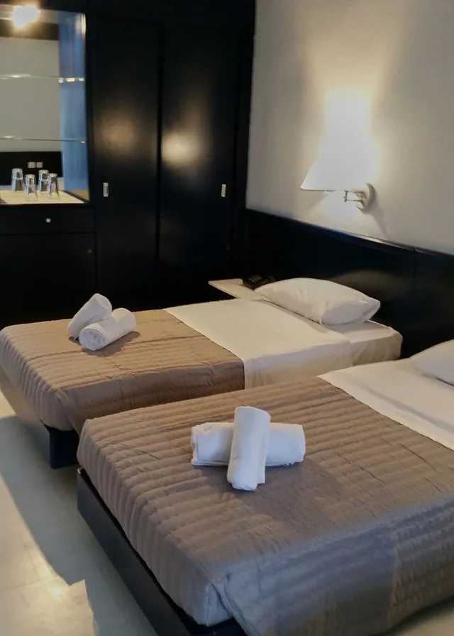 غرفة سوبيريور بسريرين منفصلين بإطلالة على البحر مع أريكة، Skion Palace Hotel 7/10