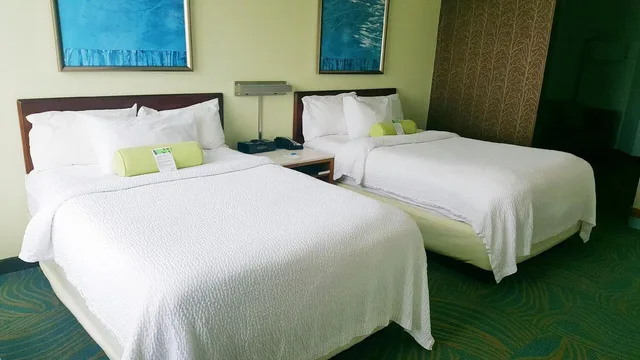 استوديو بسريرين كوين مع سرير سحّاب إضافي مع أريكة، Springhill Suites Pittsburgh Monroeville 1/2