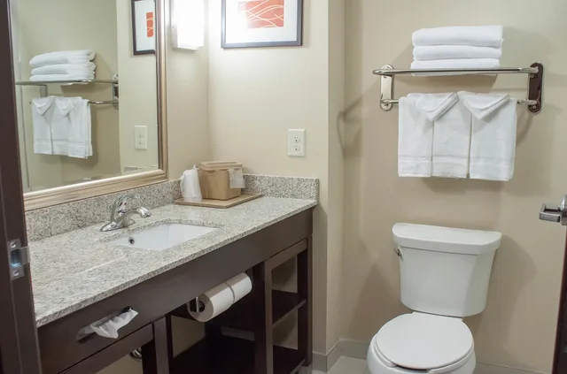جناح بسرير كينج مع أريكة، Comfort Inn & Suites Artesia, NM 6/7