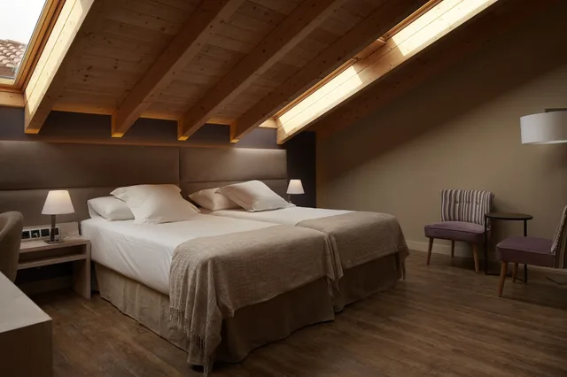 غرفة ديلوكس بسريرين منفصلين، Palacio Tondon 4/10