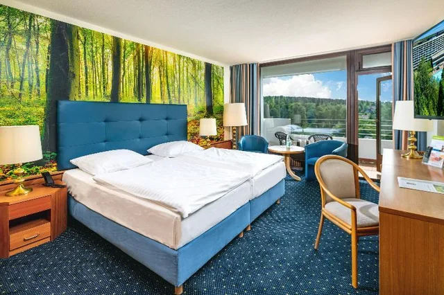 غرفة بانورامية مفردة بسرير مزدوج، AHORN Harz Hotel Braunlage 1/1