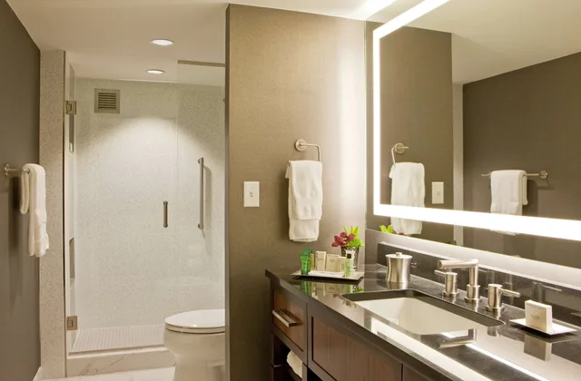 جناح بسريرين مزدوجين، HILTON NASHVILLE-DOWNTOWN 6/6