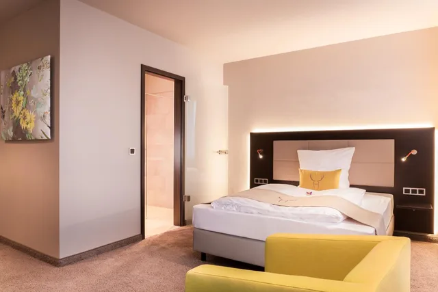 غرفة سوبيريور بسرير كوين، Hotel Platzhirsch 1/2