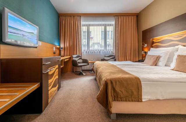 غرفة قياسية بسرير كينج، Danubia Gate Hotel 1/9