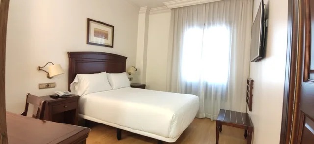 غرفة أساسية مفردة بسرير مزدوج، Hotel Sercotel Palacio de Los Gamboa 1/4