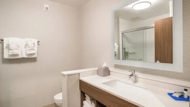 جناح بسرير كينج مع أريكة، Holiday Inn Express Suites Racine 7/10