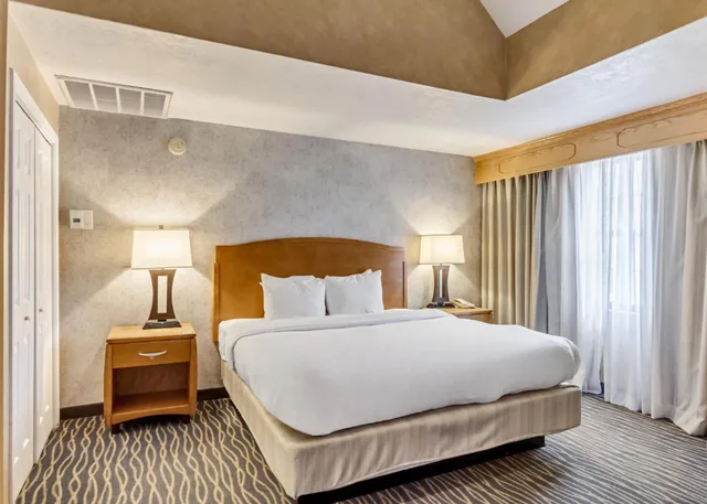 غرفة كبيرة بسرير كينج، Radisson Hotel Salt Lake City Airport 1/4