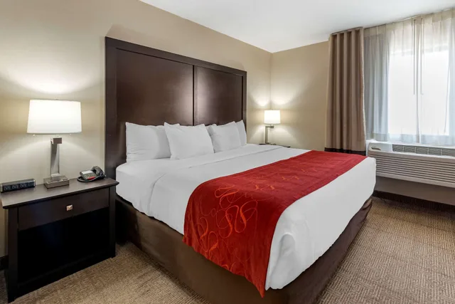 جناح بسرير كينج مع أريكة لذوي الإعاقة، Comfort Suites Highlands Ranch Denver Tech Center Area 5/7
