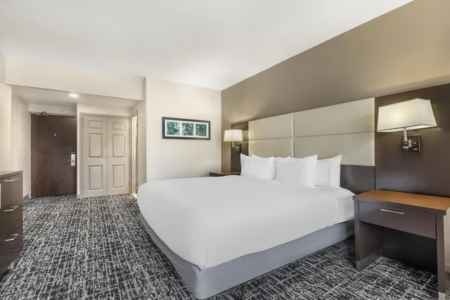 غرفة كلاسيكية بسرير كينج لذوي الإعاقة، DoubleTree by Hilton Williamsburg 4/8