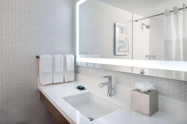 جناح بسرير كينج، DoubleTree by Hilton Chicago - North Shore Conference Center 4/4
