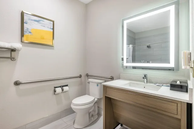 غرفة بسرير كينج لذوي الإعاقة، Comfort Inn Davenport East - Bettendorf 4/4