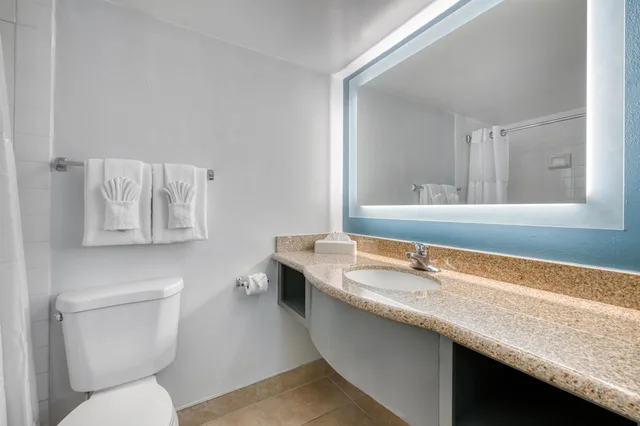 غرفة قياسية بسرير كينج بإطلالة، Best Western Orlando Gateway Hotel 7/9