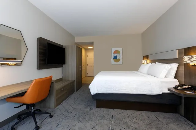 غرفة ديلوكس بسرير كينج بحوض استحمام لذوي الإعاقة، Holiday Inn Express Tampa N I-75 - University Area by IHG 1/1